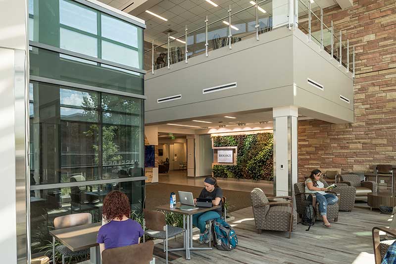 students studying in biology lobby